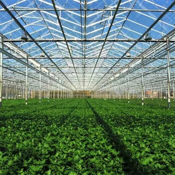High Pressure Sodium Bulbs 1000 Watt high quality
