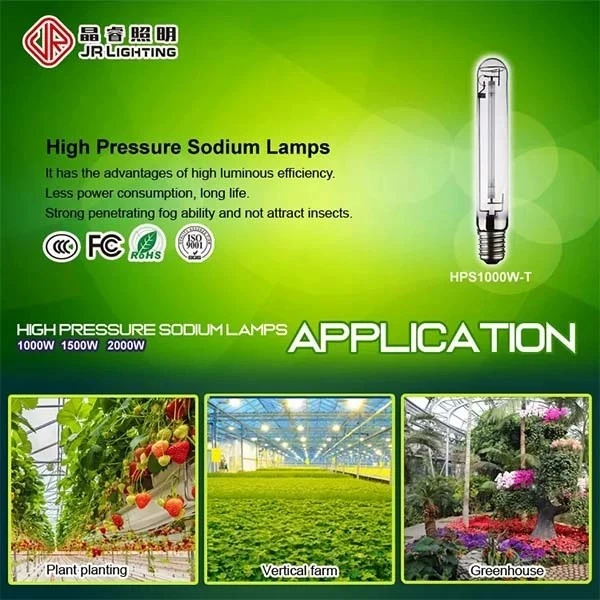 High Pressure Sodium Bulbs 1000 Watt price